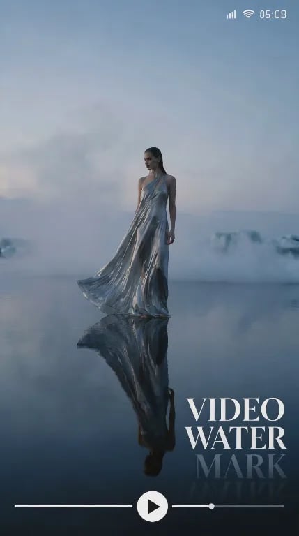 Video Watermark Remover before preview